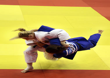 Esteras coloridas de alta densidad del judo de la competencia y del entrenamiento de los artes marciales del jiu-jitsu de Bjj